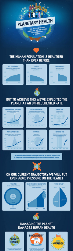 Planetary Health Infographic Screenshot