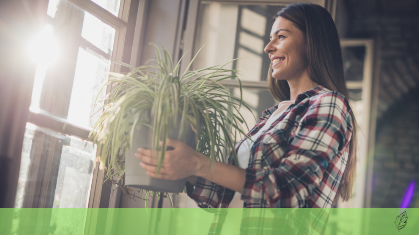 Woman with houseplants for health - Vitality