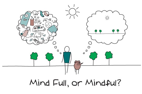 Mindfulness Blog Mindful or Mind Full