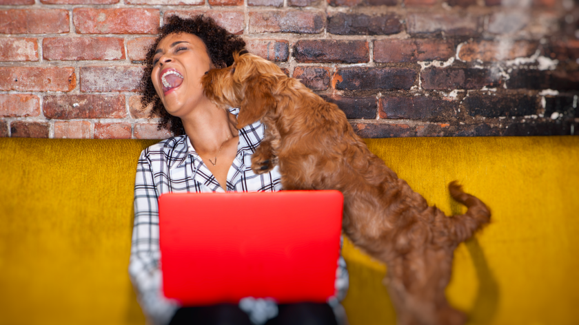 Woman working on laptop at home with dog - Vitality