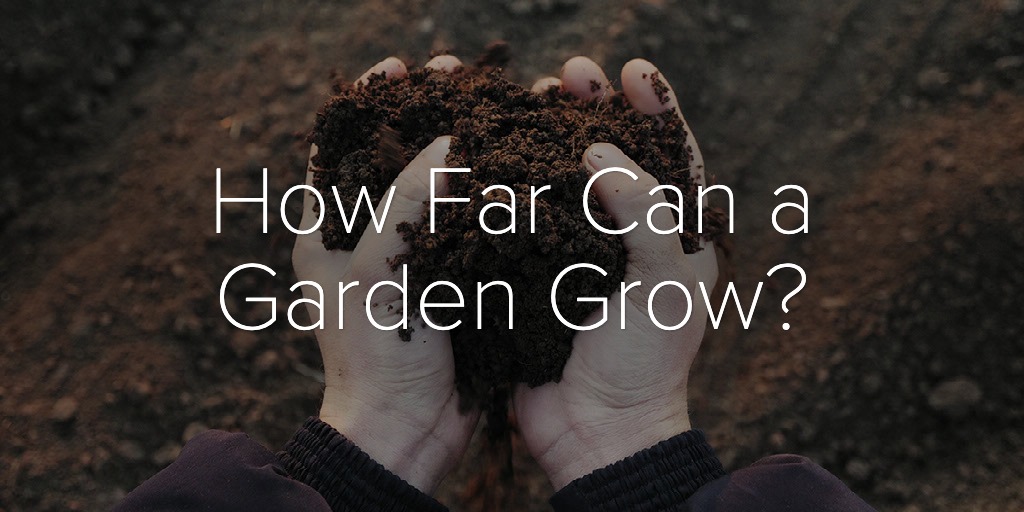 How far can a garden grow banner - Vitality