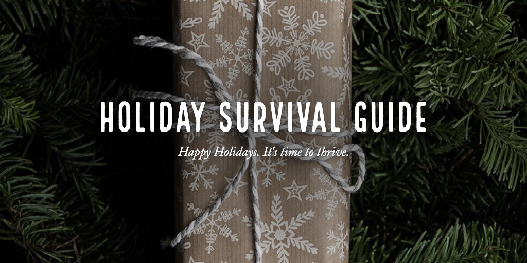 Holiday survival guide banner - Vitality