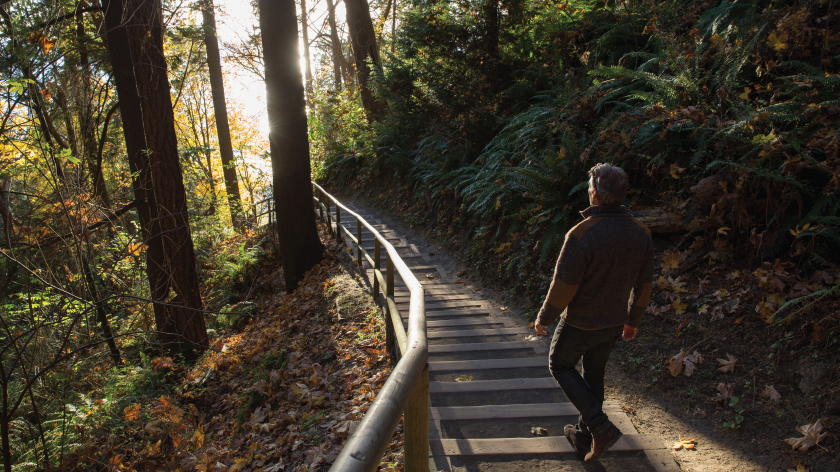 Man walking down a wooded staircase to redefine way of thinking - Vitality